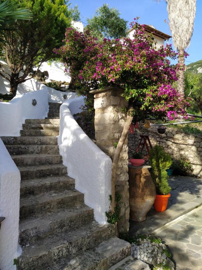Apartment Kontos Mansion Benitses (Corfu)
